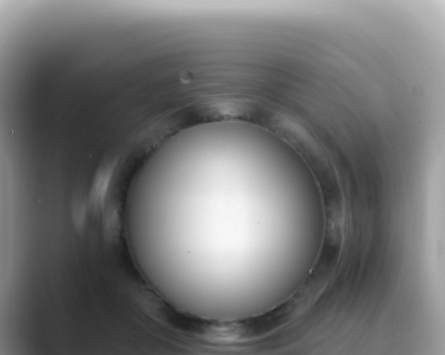 X0000089850410200707051119