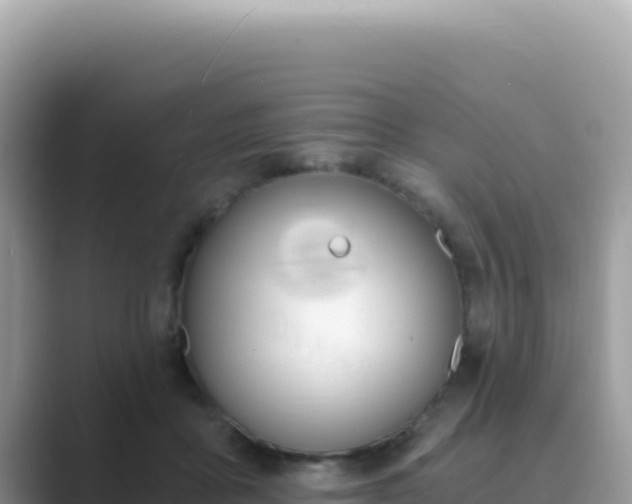 X0000089850411200707051119