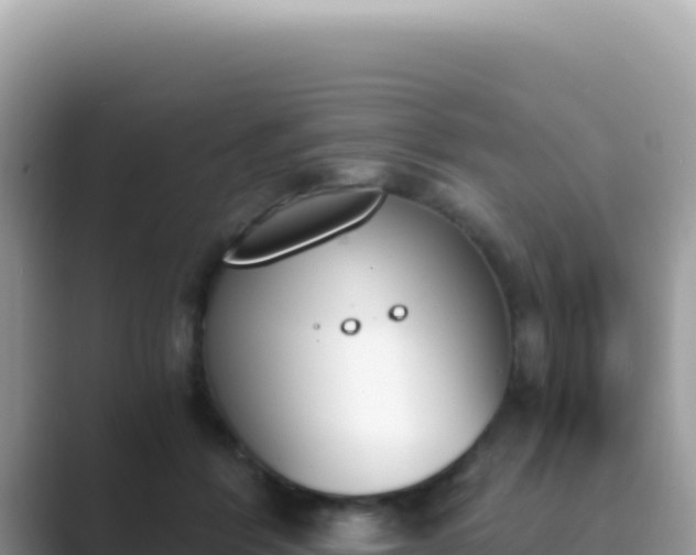 X0000089850412200707051119