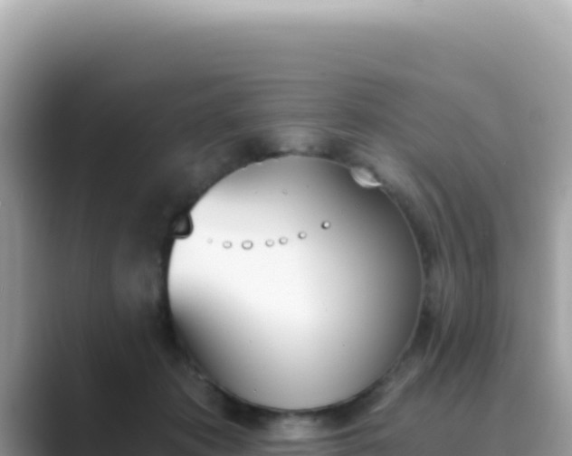 X0000089850413200707051119