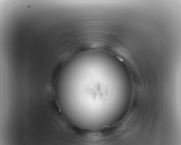X0000089850415200707051119