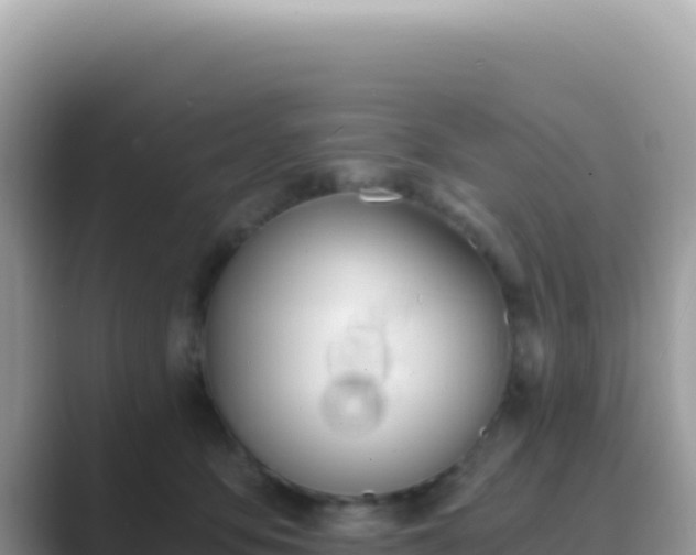 X0000089850419200707051119