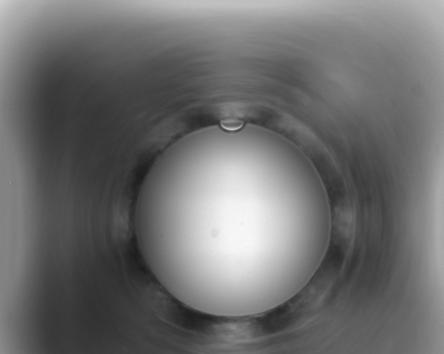 X0000089850422200707051119