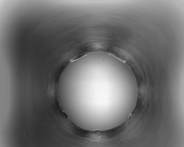 X0000089850423200707051119