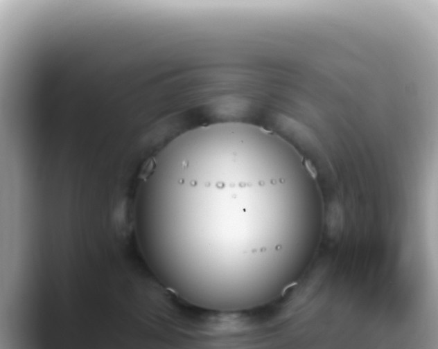 X0000089850428200707051118