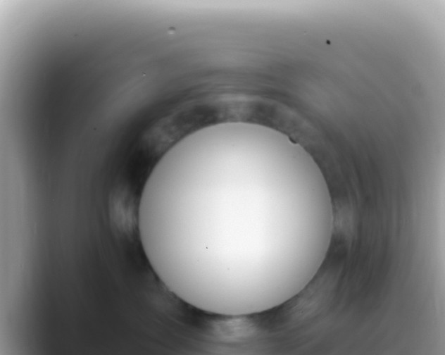 X0000089850431200707051118