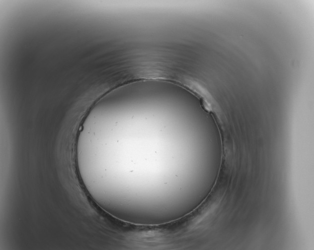 X0000089850433200707051118