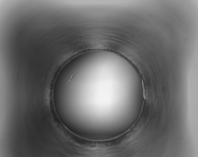 X0000089850434200707051118