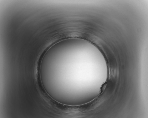 X0000089850435200707051118