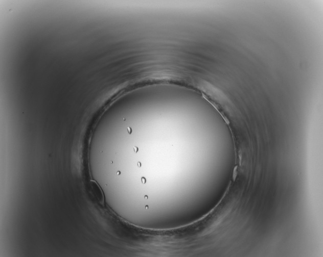 X0000089850436200707051118