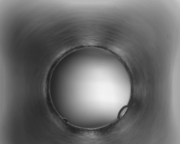 X0000089850439200707051118