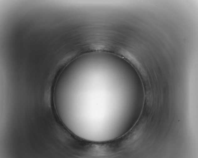 X0000089850442200707051118