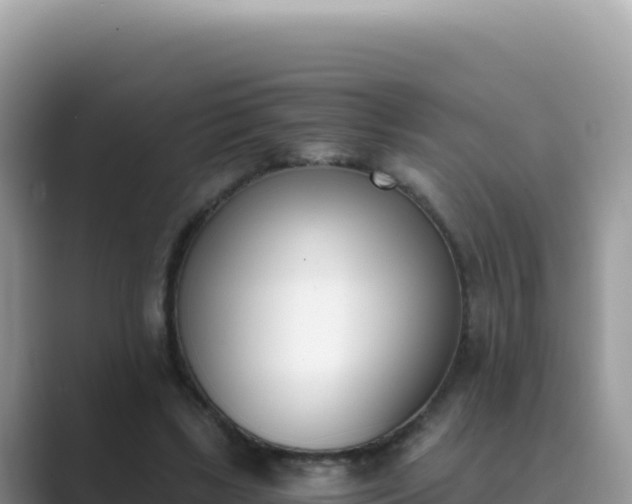 X0000089850443200707051118