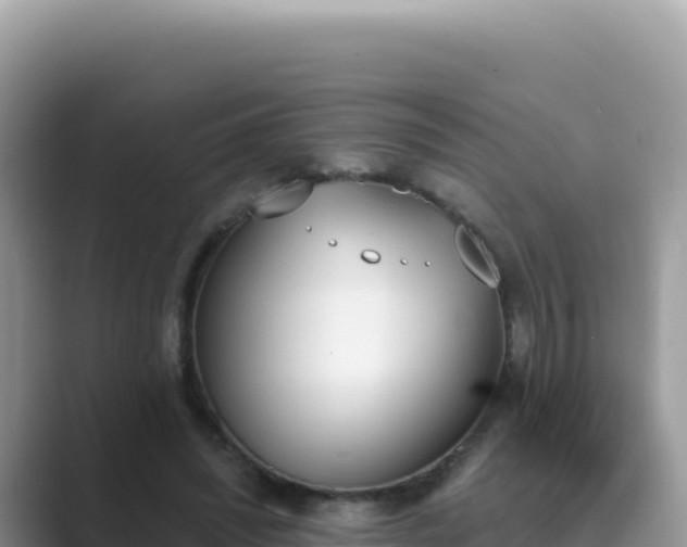 X0000089850444200707051118