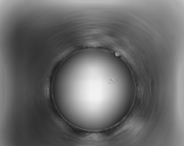 X0000089850446200707051118