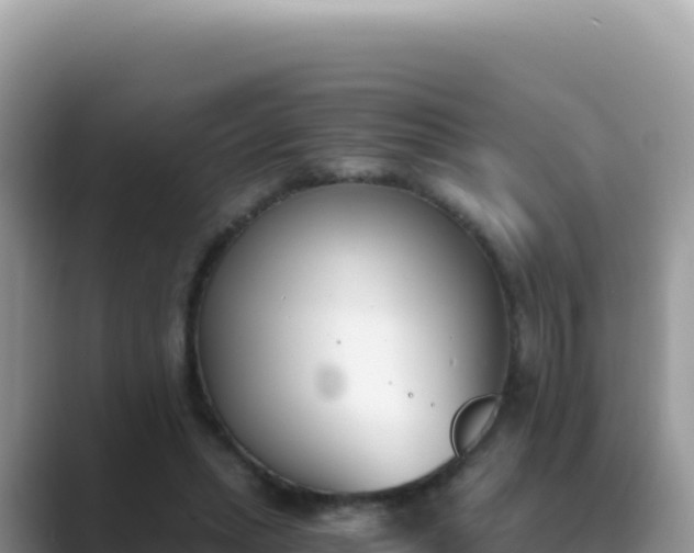 X0000089850447200707051118