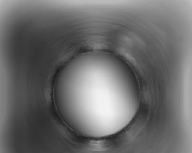 X0000089850450200707051118