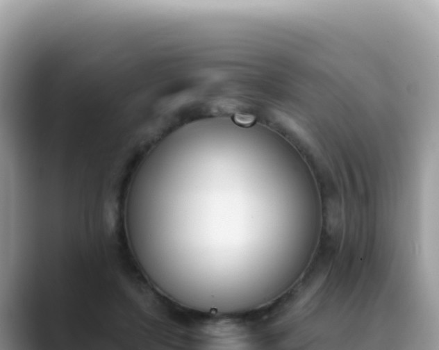 X0000089850451200707051118
