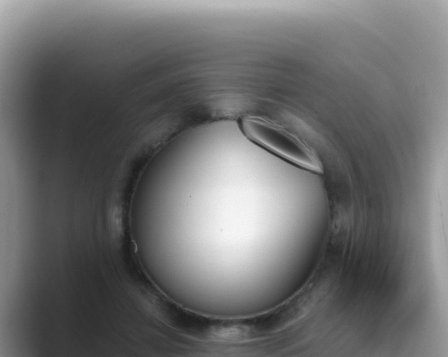 X0000089850452200707051118