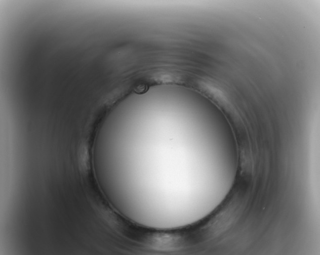 X0000089850453200707051118
