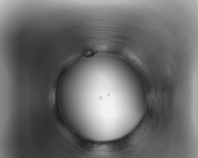 X0000089850454200707051118