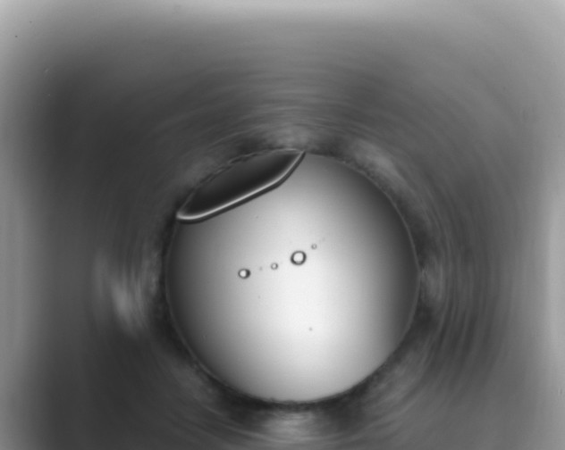 X0000089850458200707051118