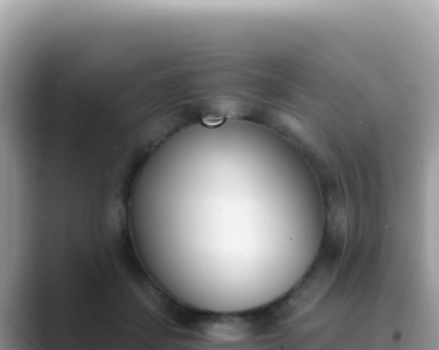 X0000089850459200707051118