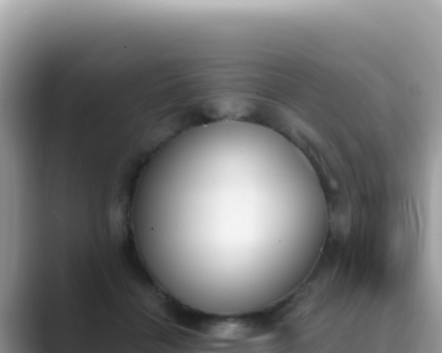 X0000089850460200707051118