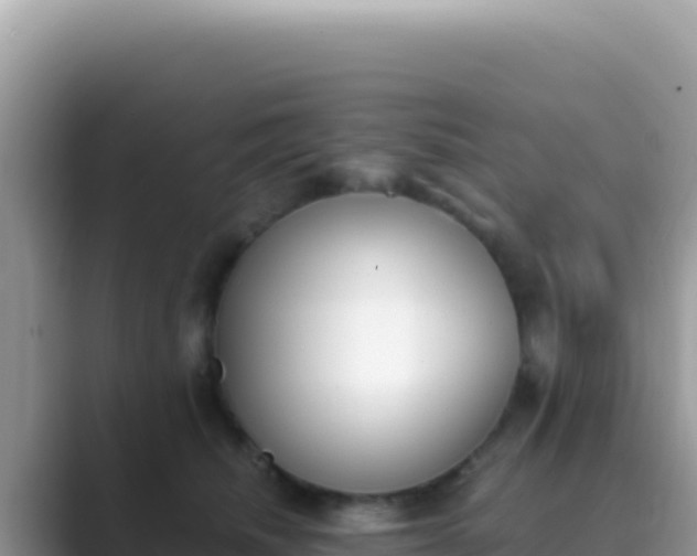 X0000089850468200707051118