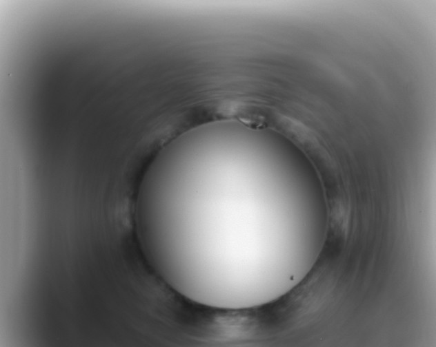 X0000089850470200707051118