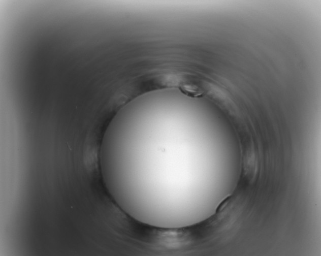 X0000089850473200707051118