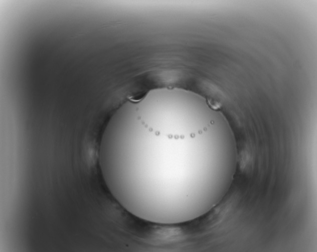X0000089850476200707051118