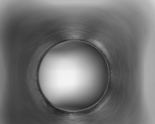 X0000089850481200707051118