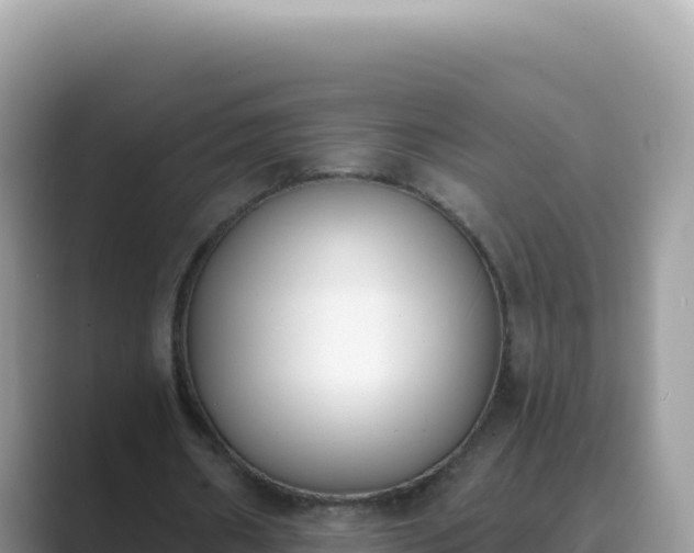 X0000089850482200707051118