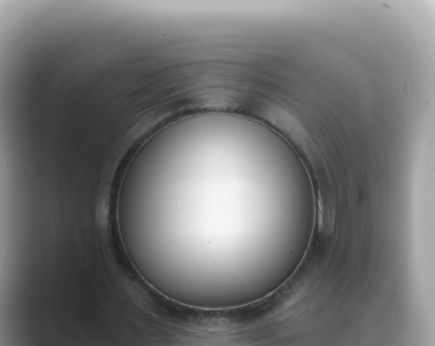 X0000089850483200707051118