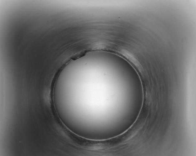 X0000089850485200707051118