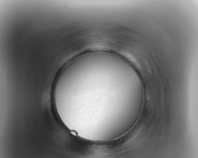 X0000089850487200707051118