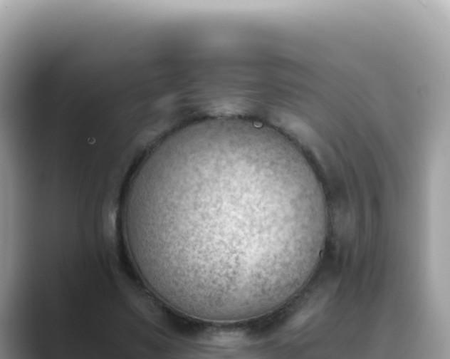 X0000089850491200707051118