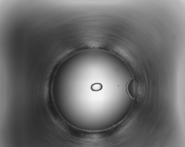 X0000089850492200707051118