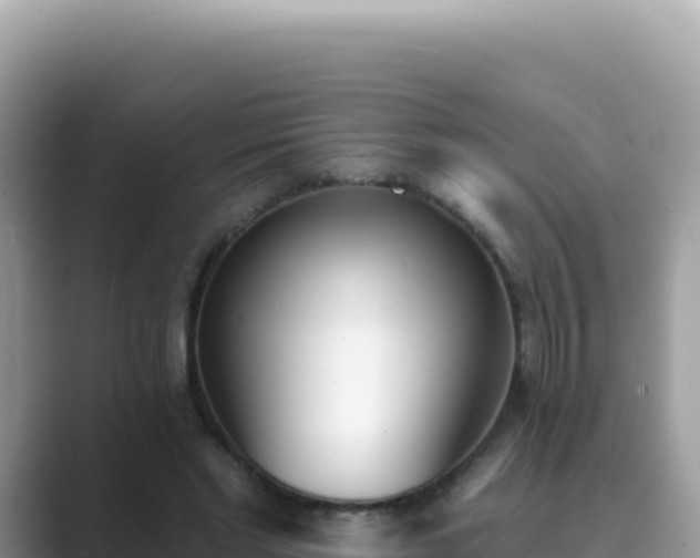 X0000089850493200707051118