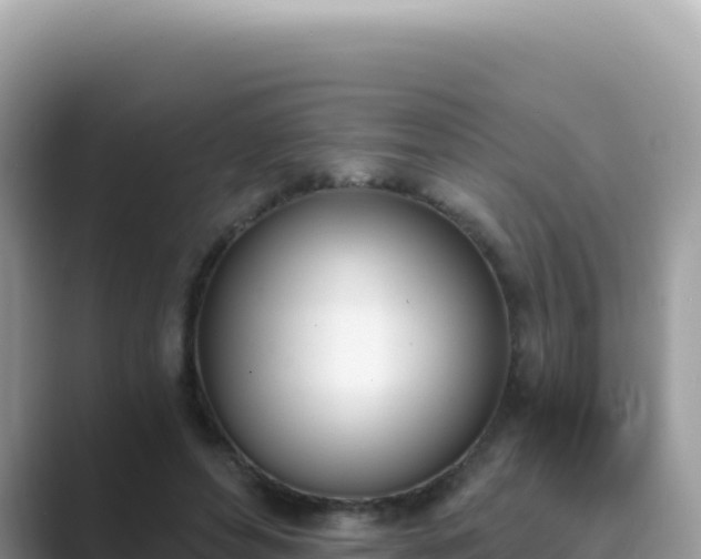 X0000089850496200707051118