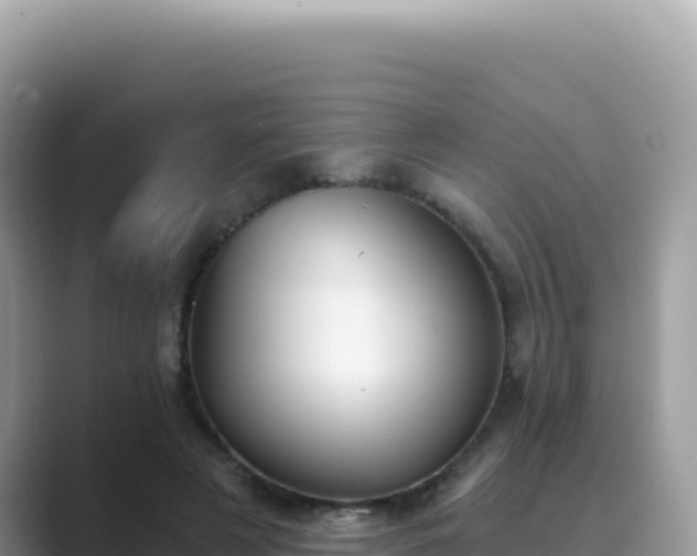 X0000089850497200707051118