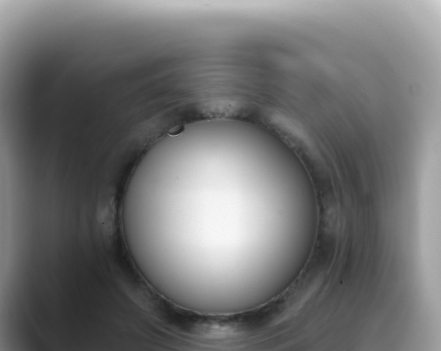 X0000089850498200707051118