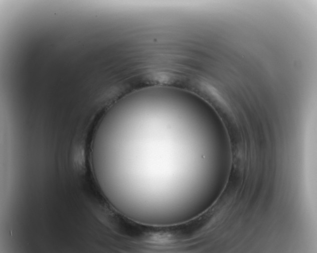 X0000089850500200707051118