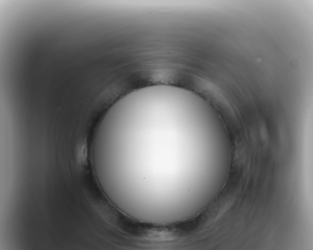 X0000089850502200707051118