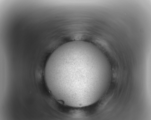 X0000089850503200707051118