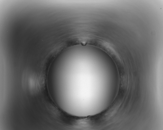 X0000089850505200707051118
