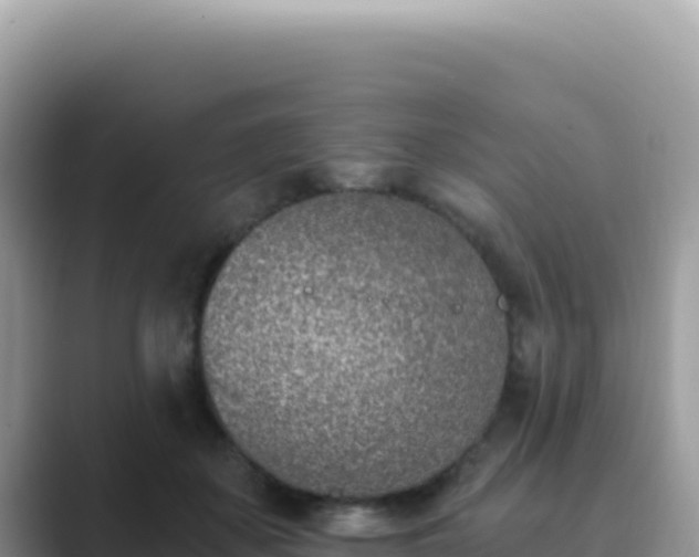 X0000089850507200707051118