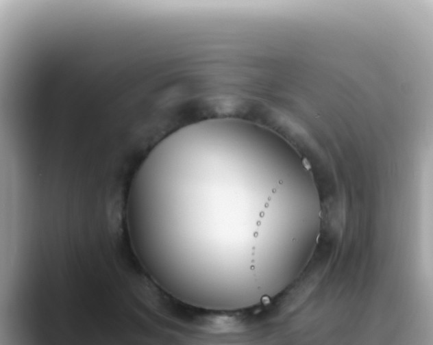 X0000089850509200707051118