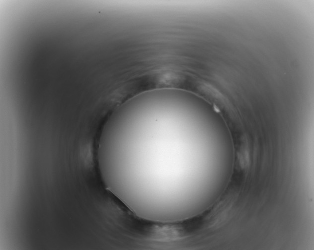 X0000089850520200707051117